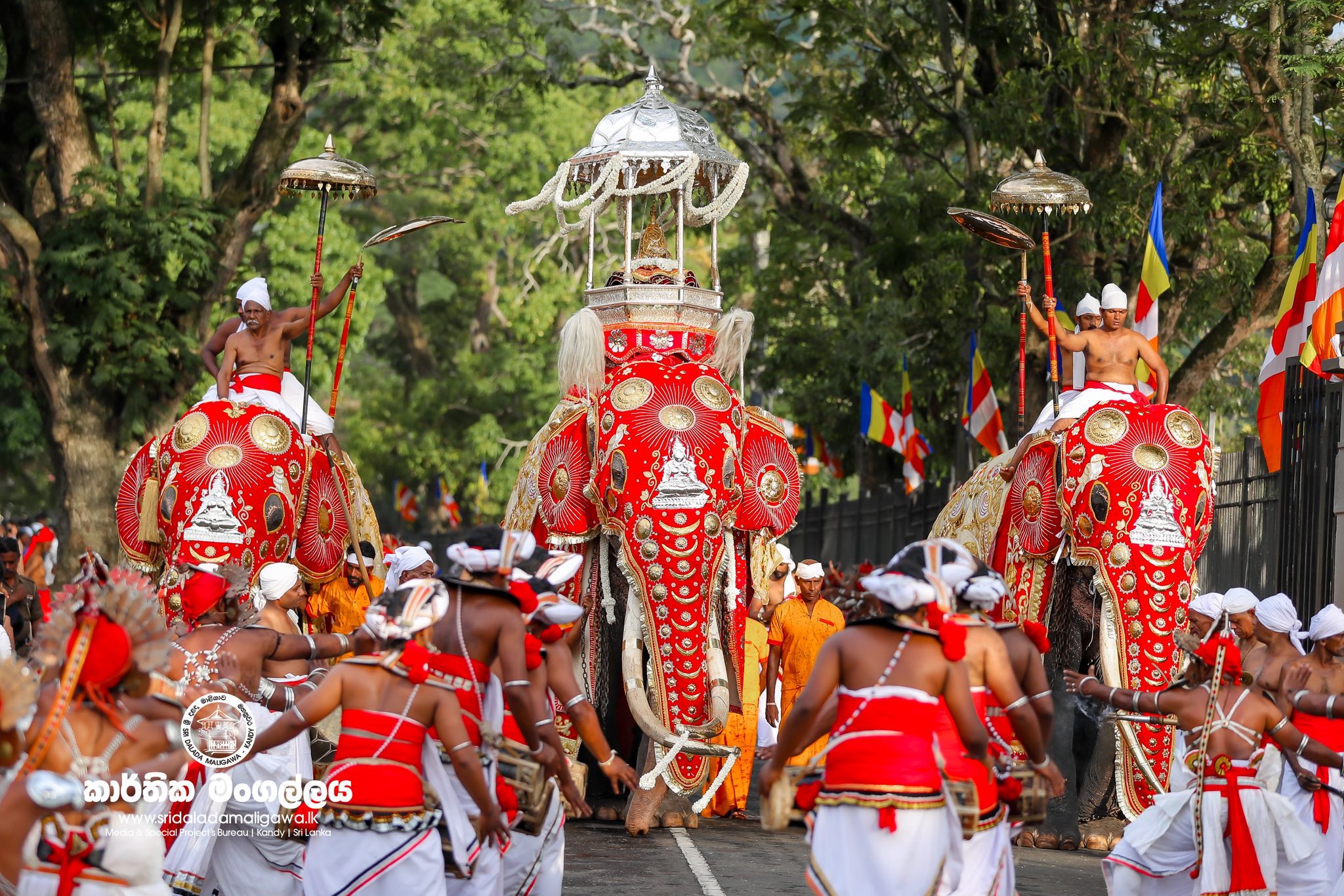 577303693_1264141165757232_972809489581531074_n