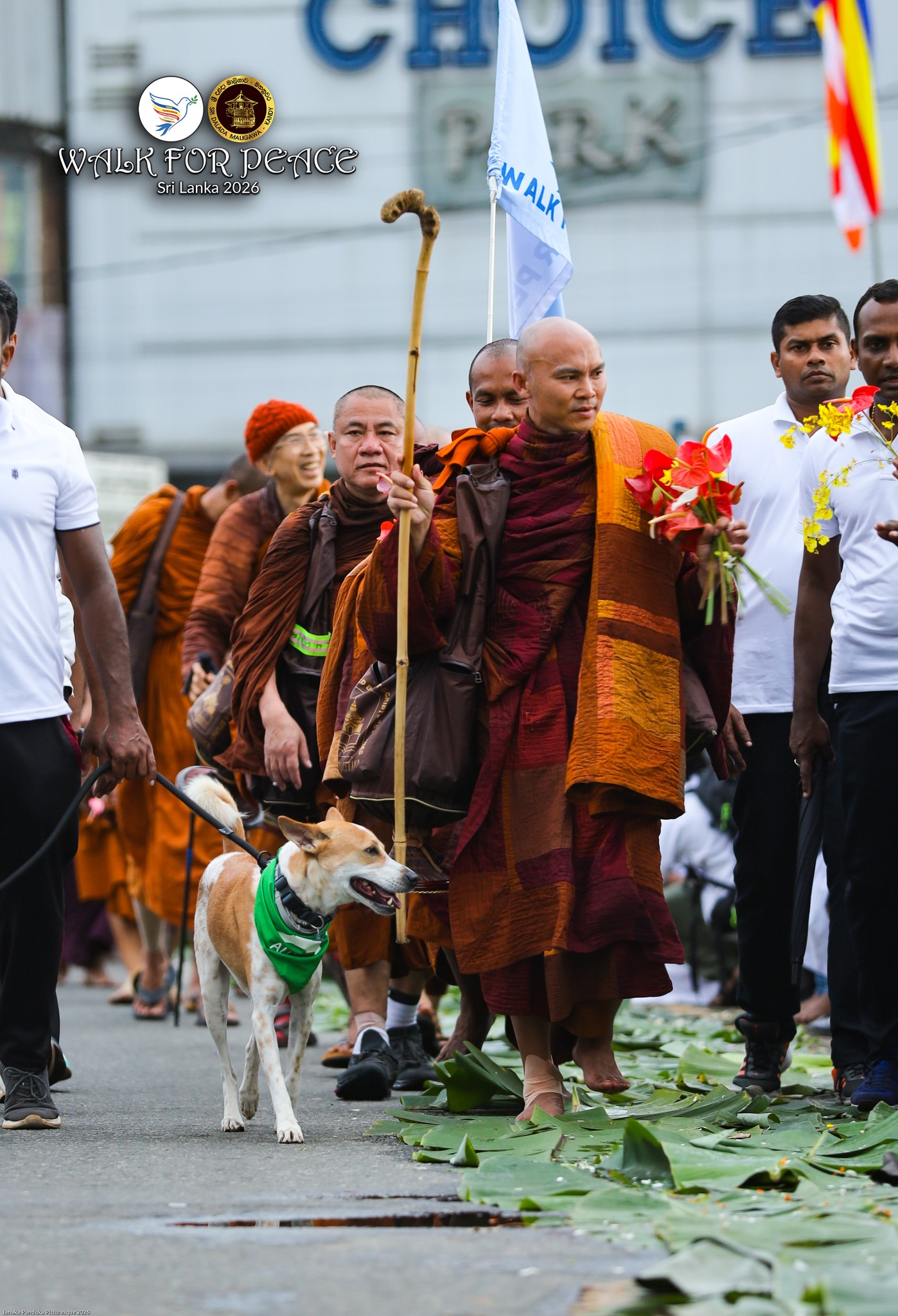 678455918_1401492738688740_9179624119509261858_n